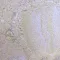 Gyöngyház hatású mica pigment por - gyöngy kék, 10g