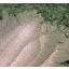 Gyöngyház hatású mica pigment por - fügekaktusz, 1kg