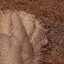 Gyöngyház hatású mica pigment por - rubinbarna, 10g